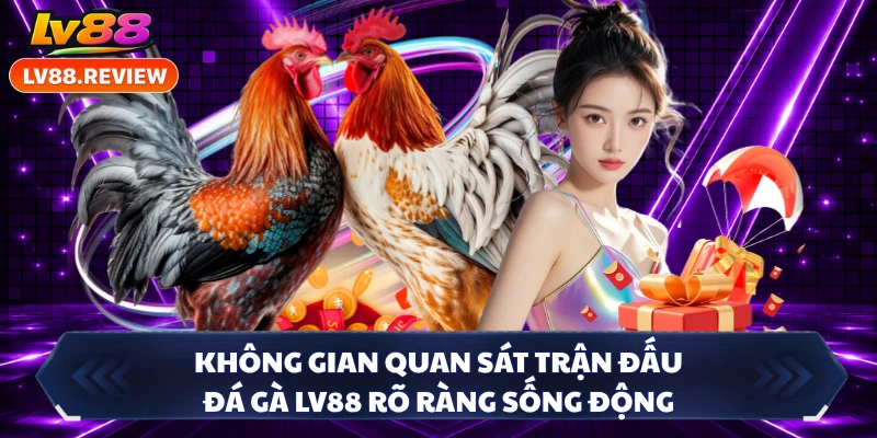 Không gian quan sát trận đấu đá gà LV88 rõ ràng sống động