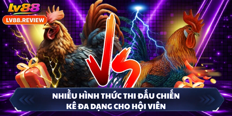 Nhiều hình thức thi đấu chiến kê đa dạng cho hội viên